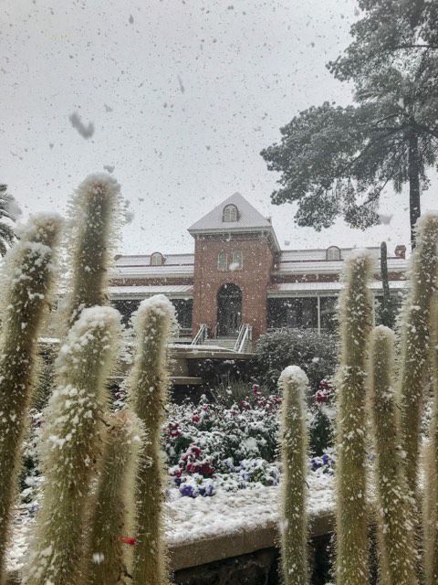 Snow in Tucson